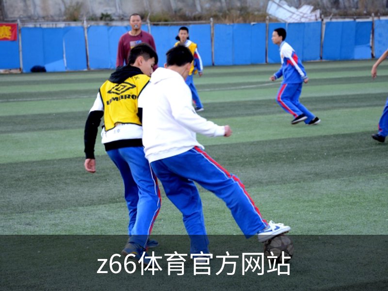 z66体育官方网站简介