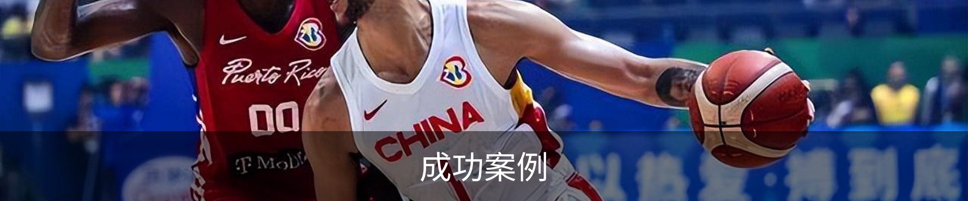 成功案例