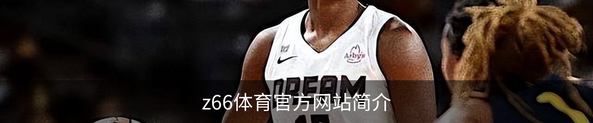 z66体育官方网站简介