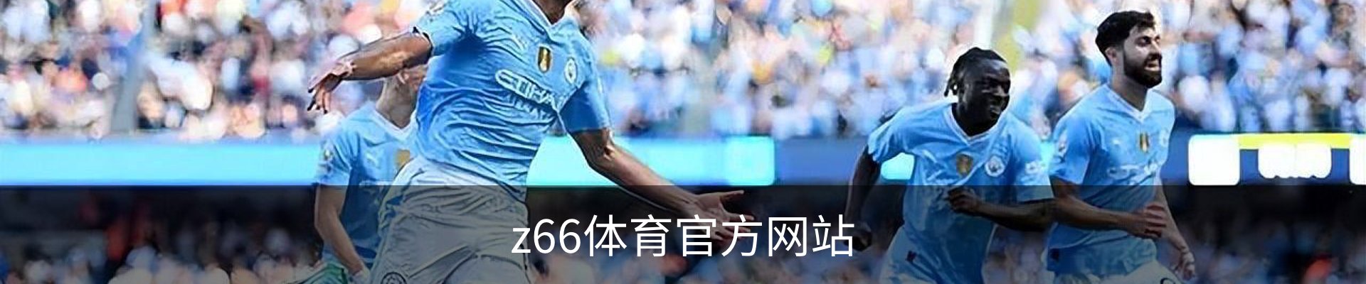 z66体育官方网站